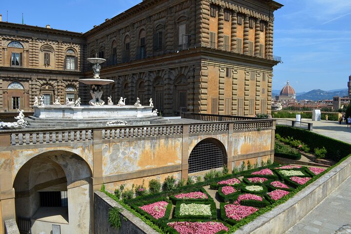 Skip-the-line Palazzo Pitti and Boboli Gardens Private Tour  - Image 2