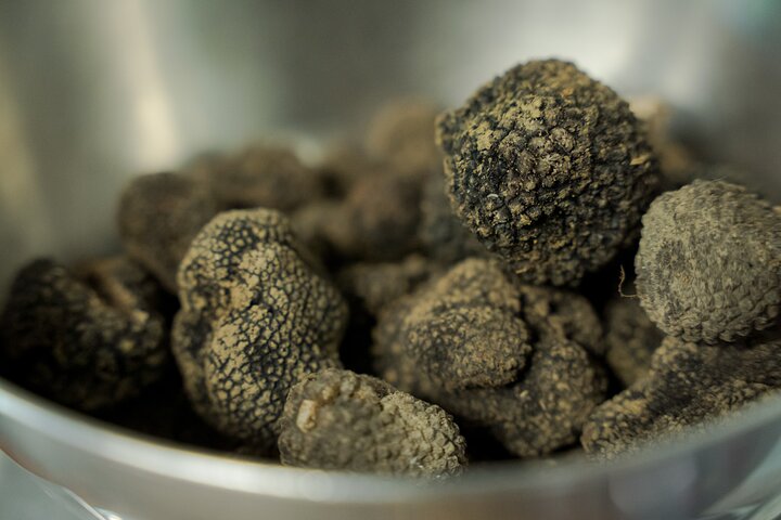 Truffle hunting + gourmet tasting (transfer included) - Image 5