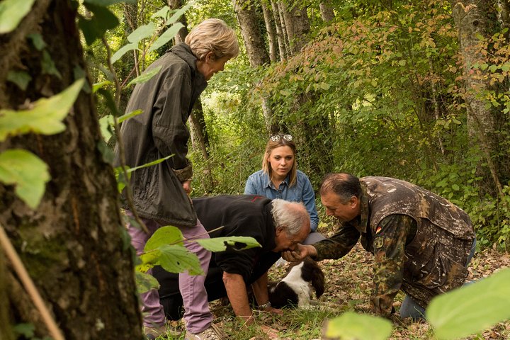 Truffle hunting + gourmet tasting (transfer included) - Image 1