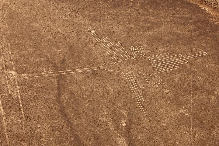 Overflight on the Nazca lines from airport of Pisco -pickup San Martin Port - Image 1