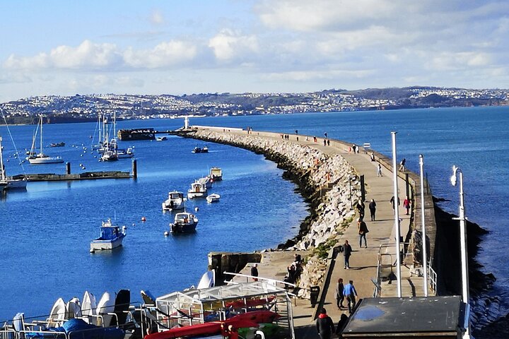 Driving Tour: South Devon Coast in luxury 7 x seat Mercedes - Image 2