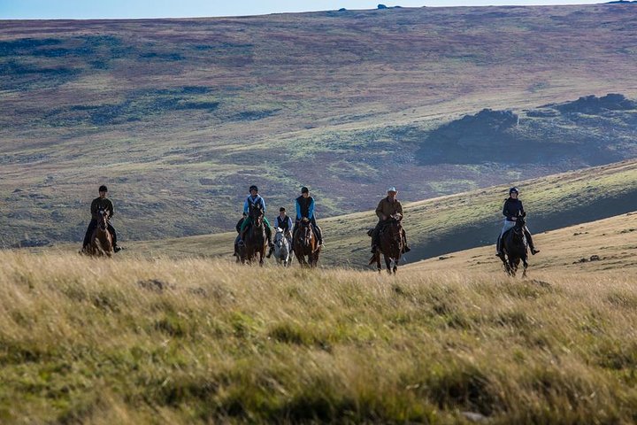 Liberty Trails - Dartmoor Horseback Adventures - Image 2