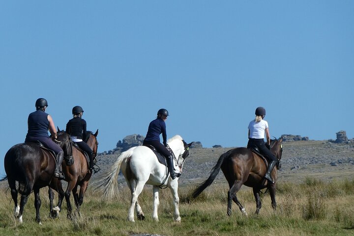 Liberty Trails - Dartmoor Horseback Adventures - Image 5