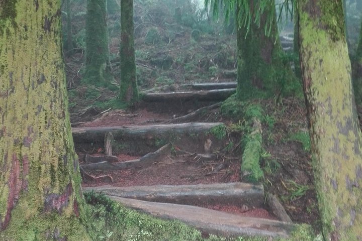 7 Cidades lake Fire lake Van tour - Image 3
