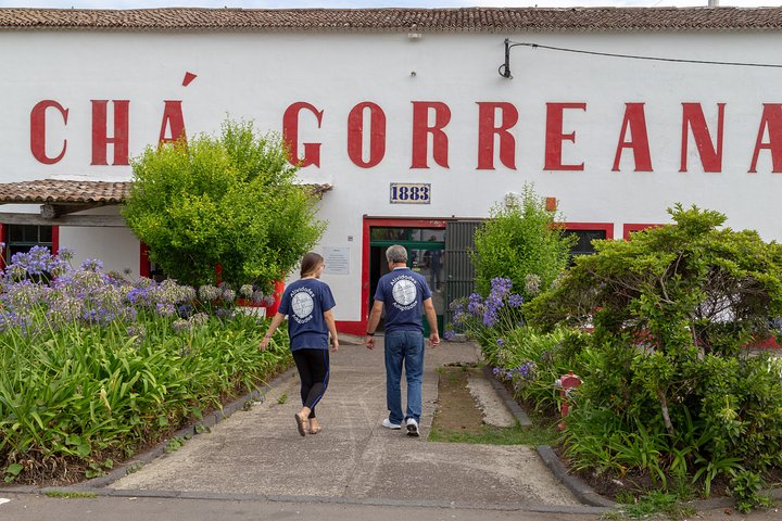 Adapted Van tour - Furnas (Full day) - Image 4