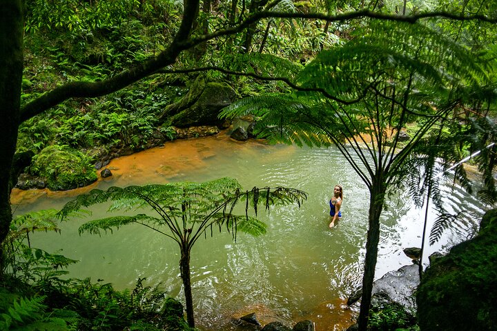 Center of the Island (Hot Springs Included) - Private Tour - Image 4