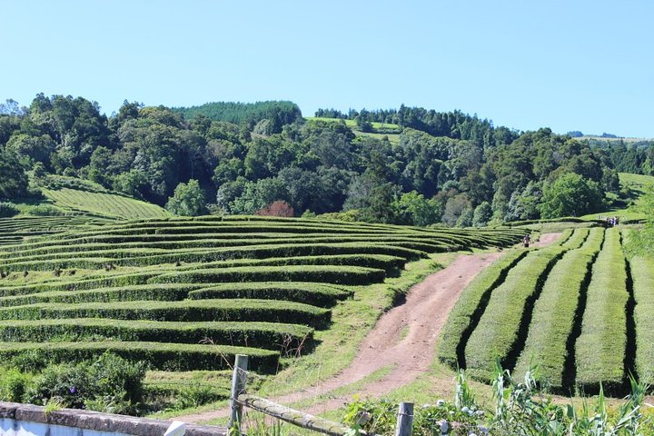 Full Day Furnas - Image 5