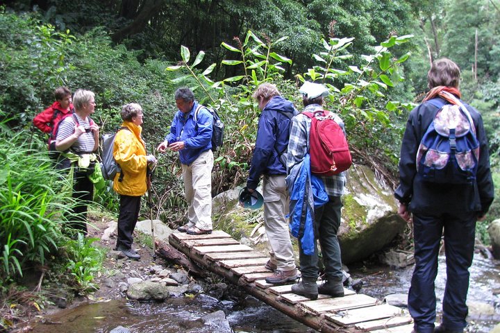 Full Day Hiking Faial da Terra (Min. 2 persons) - Image 4