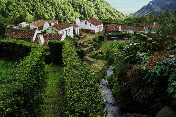 Full Day Hiking Faial da Terra (Min. 2 persons) - Image 2