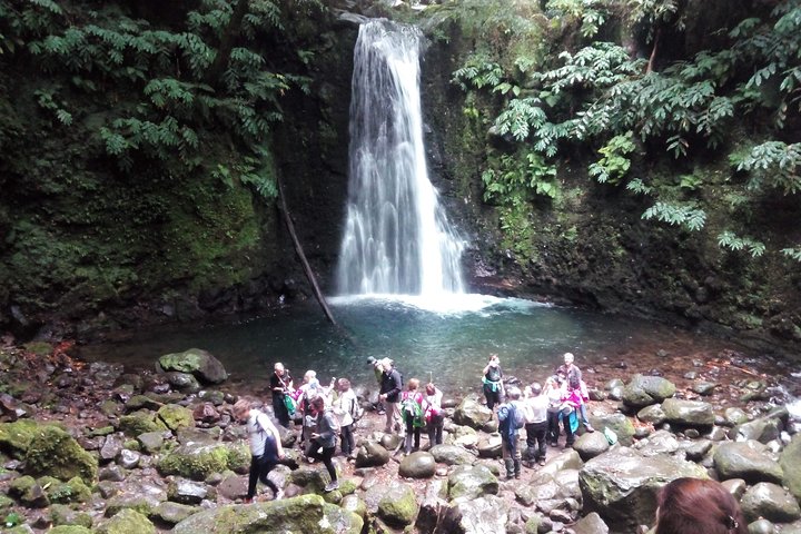 Full Day Hiking Faial da Terra (Min. 2 persons) - Image 3