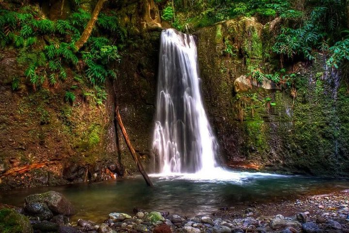 Full Day Hiking Faial da Terra (Min. 2 persons) - Image 1