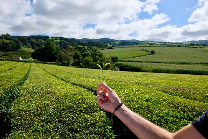 Full Day Outdoor Furnas Valley With Traditional Lunch - Image 4