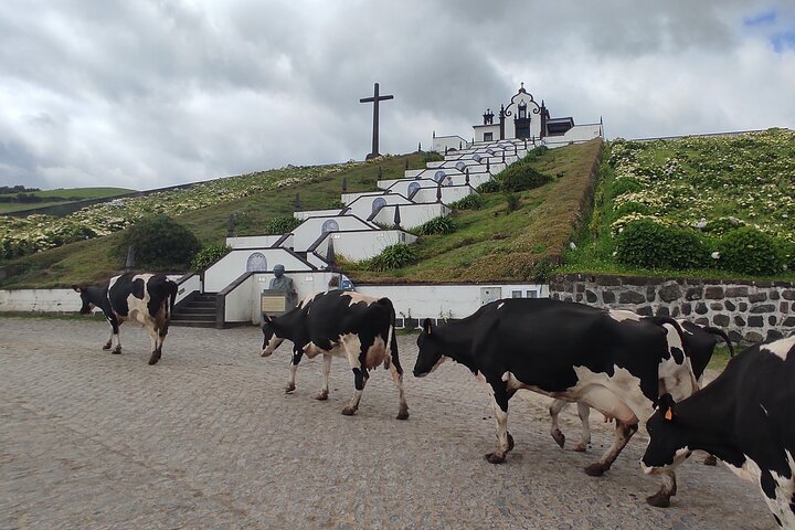 Full-day Private 4x4 Jeep Tour in São Miguel Island - Image 3
