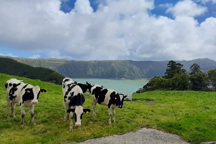 Full Day Private Tour Sete Cidades with Snorkeling and Lunch - Image 1
