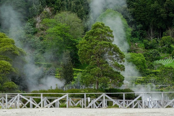 Full day tour from Ponta Delgada to Furnas volcano and hot springs - Image 5