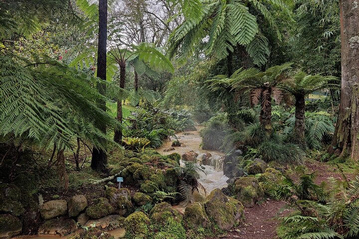 Half Day Volcano of Fogo and Furnas Private Tour - Image 5