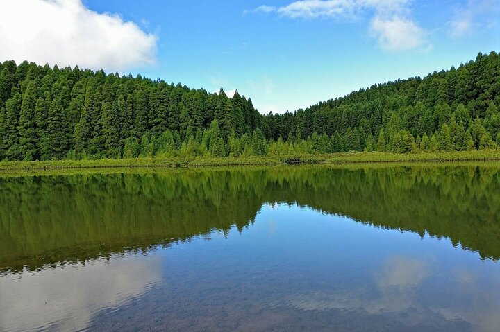 Half Day Volcano of Sete Cidades Private Tour - Image 4
