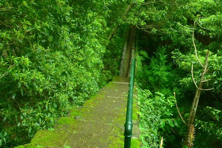 Half Day Walking Tour Janela do Inferno and Lagoa do Fogo - Image 2