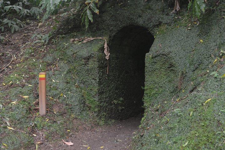 Half Day Walking Tour Janela do Inferno and Lagoa do Fogo - Image 4