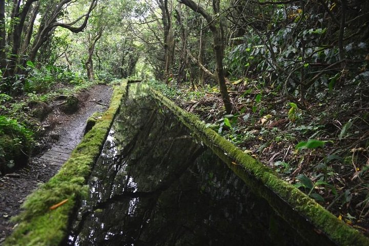 Half Day Walking Tour Lagoa do Fogo Trail - Image 1