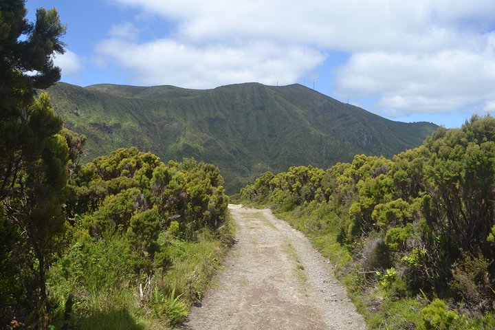 Half Day Walking Tour Lagoa do Fogo Trail - Image 4