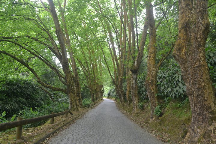 Half Day Walking Tour Salto do Cabrito and Hot Springs - Image 3