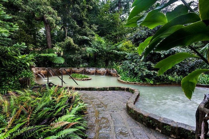 Private Guided Tour and Thermal Baths in São Miguel - Image 2