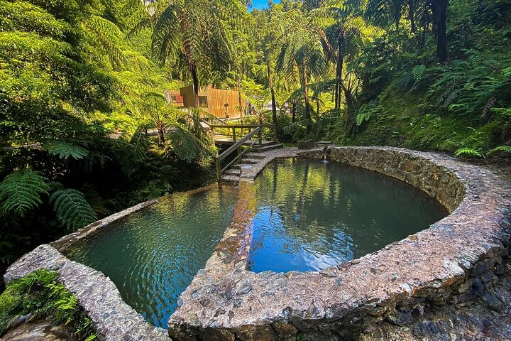 Private Guided Tour and Thermal Baths in São Miguel - Image 4