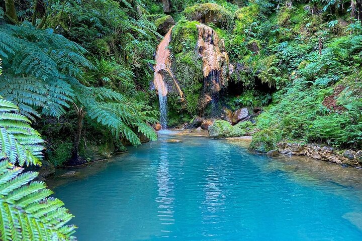 Private Guided Tour and Thermal Baths in São Miguel - Image 1