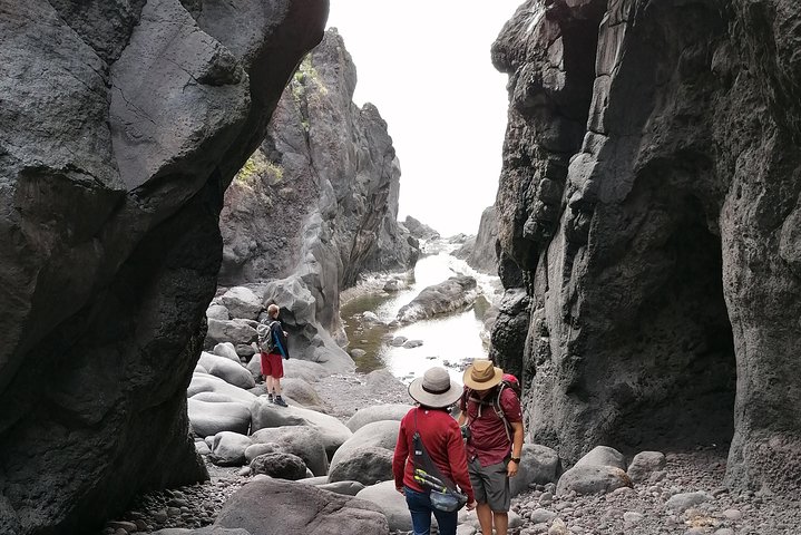 S. Jorge Van Tour - Full Day with Activities - Image 5