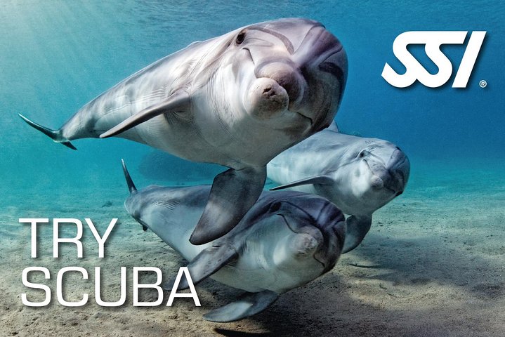 Try Scuba - Diving Baptism Pool - Image 1