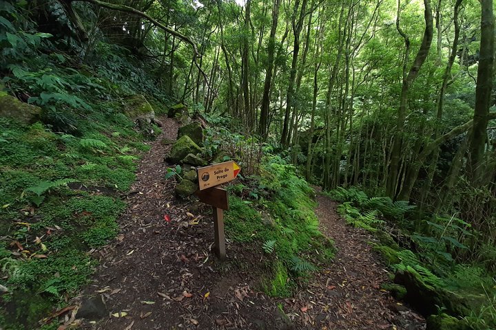 Walking Tour Sanguinho Salto do Prego Waterfall and Furnas - Image 5