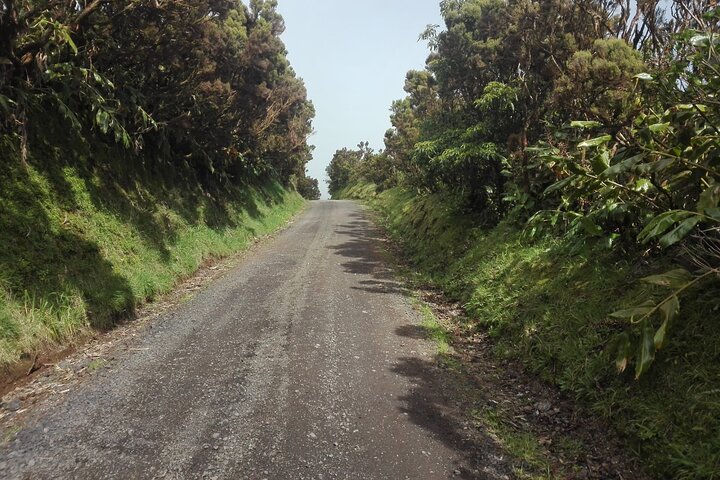 Walking trail, Tasting session and Kayaking - Image 5