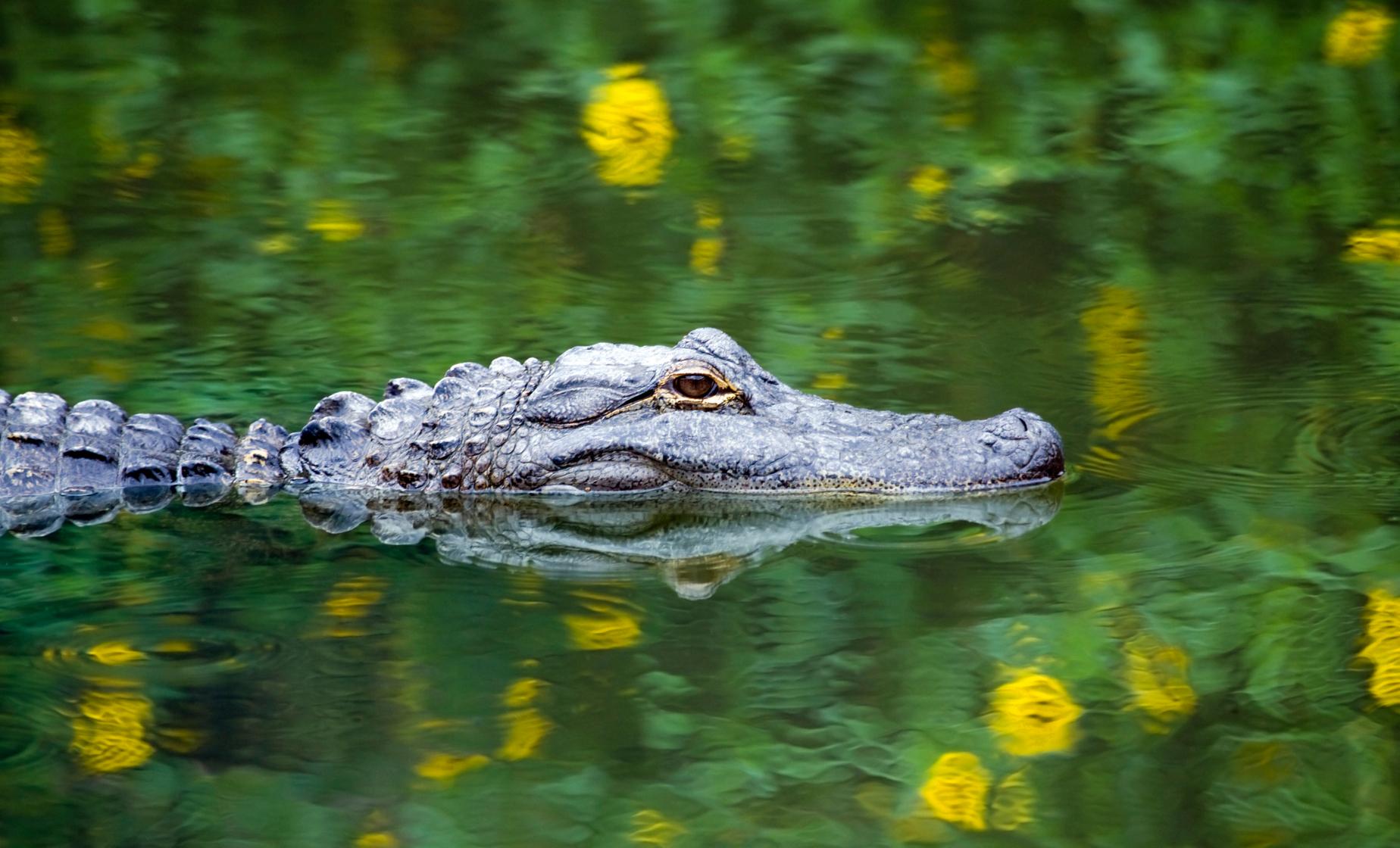 Private Wildlife Adventure - Image 1