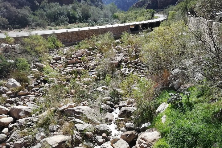 5 day Karoo to Coast tour: Prince Albert; Oudtshoorn; Wilderness & Tsitsikamma.  - Image 2