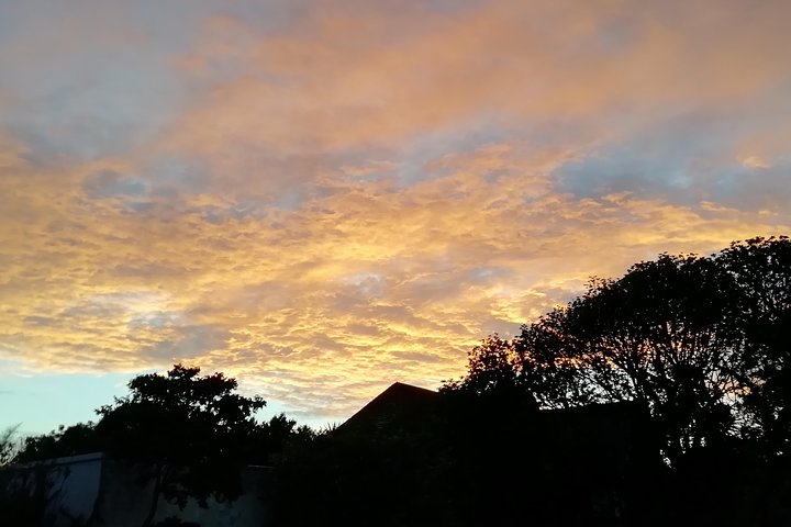 5 day Karoo to Coast tour: Prince Albert; Oudtshoorn; Wilderness & Tsitsikamma.  - Image 5