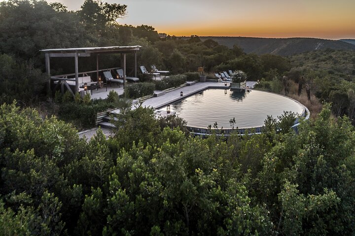 6 Day Big 7 Safari At Kariega Game Reserve Ukhozi Superior Lodge - Image 1