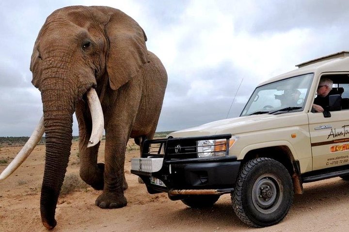 Addo Elephant National Park - HD01 - Image 3