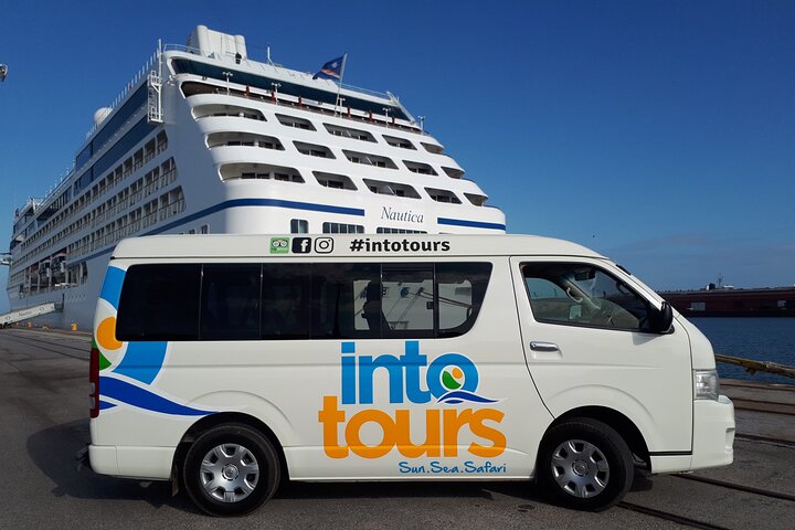 Addo Elephant Park Full-day Safari & Shore Excursion from Harbour - Image 2