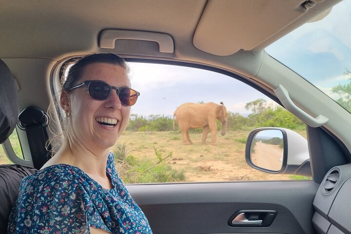 Addo Elephant Park & Giraffe Walk Private Full-Day Safari - Image 2