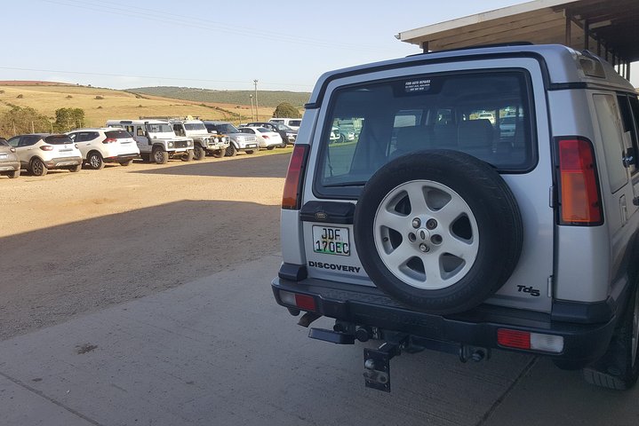 Full day big 5 Addo elephant park and Schotia combo package - Image 4