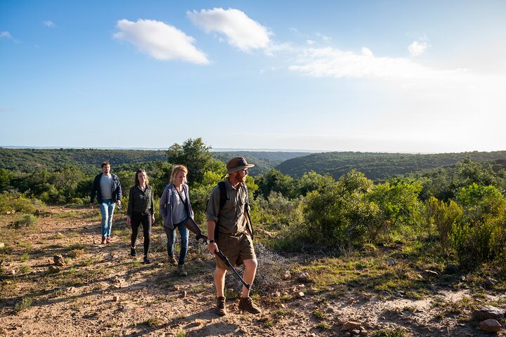 Giraffe Walk and Buffalo Experience Combo - Image 3