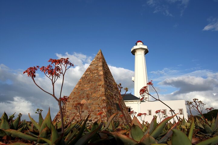 Port Elizabeth Safari and City Tour from Gqeberha - Image 1