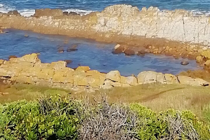 Port Elizabeth to Cape Town - Garden Route Tour - Choice of 3 to 5 days - Image 2