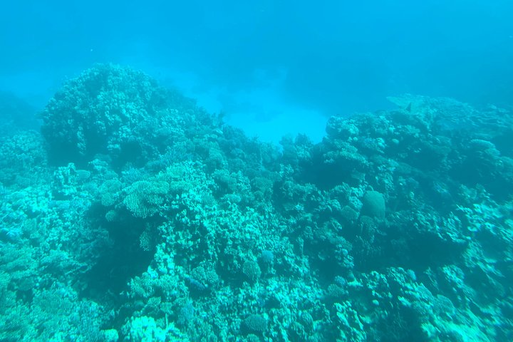 Trip on a glass bottom boat from Hurghada - Image 5