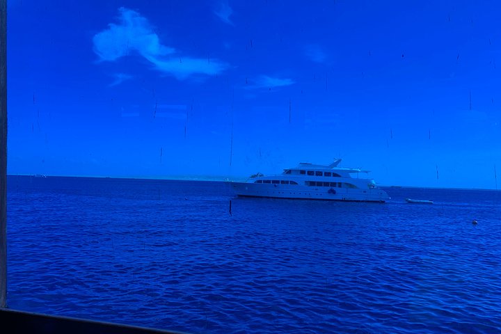 Trip on a glass bottom boat from Hurghada - Image 4