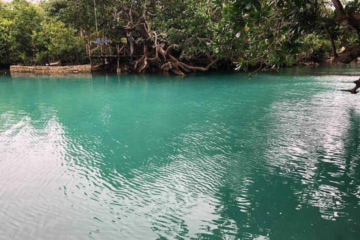 Blue Lagoon & Eden on the River - Half Day Trip with Yumi Tours - Image 4