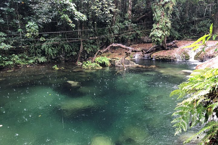 Bridges of Eden with Yumi Tours - Image 3
