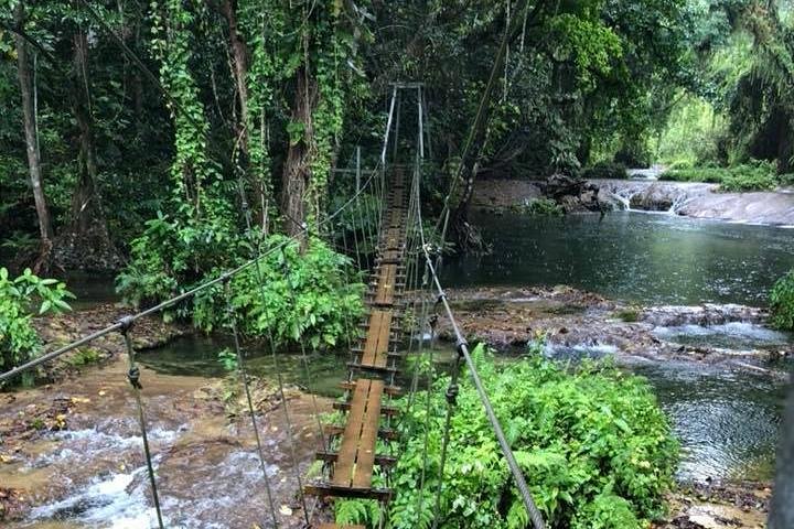 Bridges of Eden with Yumi Tours - Image 2