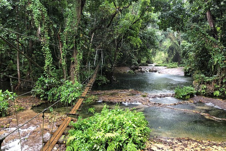 Bridges of Eden with Yumi Tours - Image 1